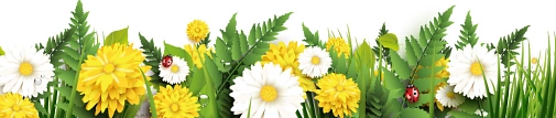 Beetpatenschaft Blumen&nbsp;&copy;&nbsp;Adobe Stock